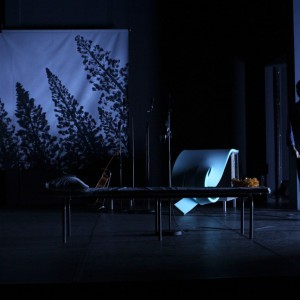 Parler aux Oiseaux (3)