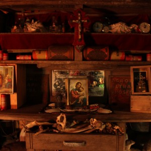Le Cabinet de Curiosités (1)
