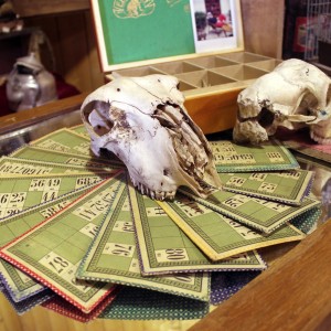 Le Cabinet de Curiosités (2)