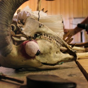 Le Cabinet de Curiosités (en-tête)