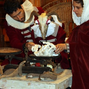 Le Cabinet de Curiosités (3)