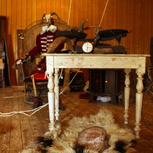 Le Cabinet de Curiosités (6)