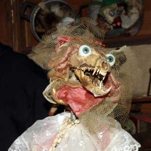 Le Cabinet de Curiosités (7)