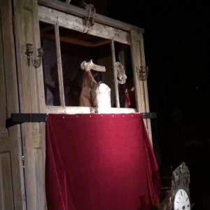 Le Cabinets de Curiosités
