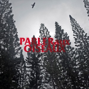 457910_505568646142231_1171813436_o