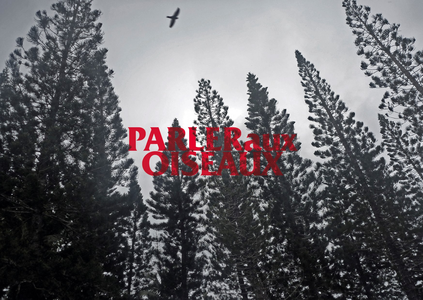 457910_505568646142231_1171813436_o