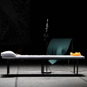 parler_aux_oiseaux-02