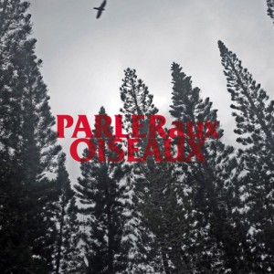 Parler aux oiseaux (en tête)