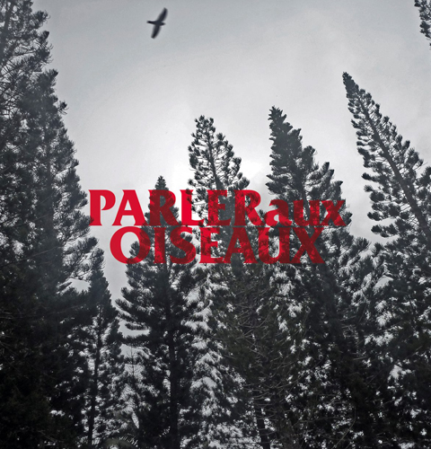 Parler aux oiseaux (en tête)