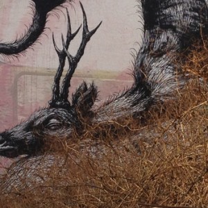 Roa Berlin février 2013  (1)