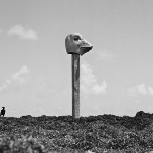 VittecoqMixart-019-BD-591x400 VittecoqMixart-019-BD-591x400