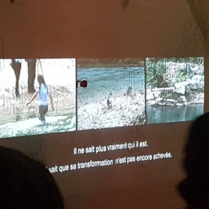 FWITES - TrafiK 2017