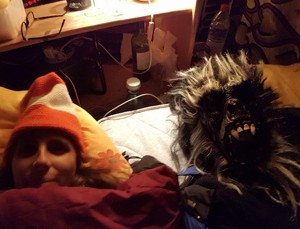 FreakyWedding-TrafiK2017